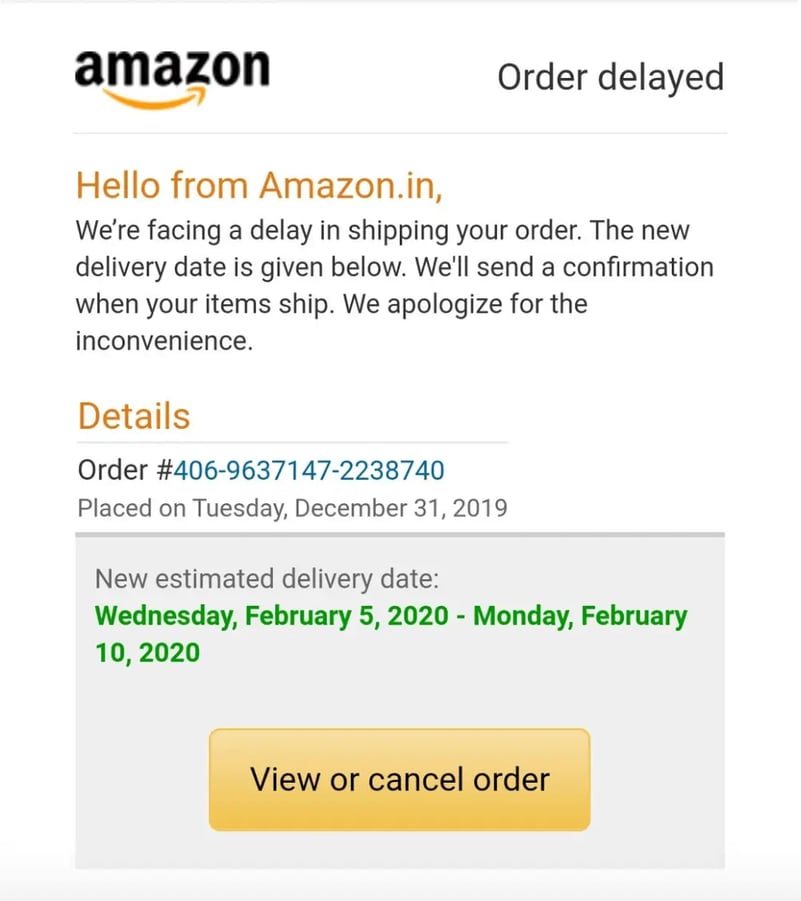 Amazon order delay message