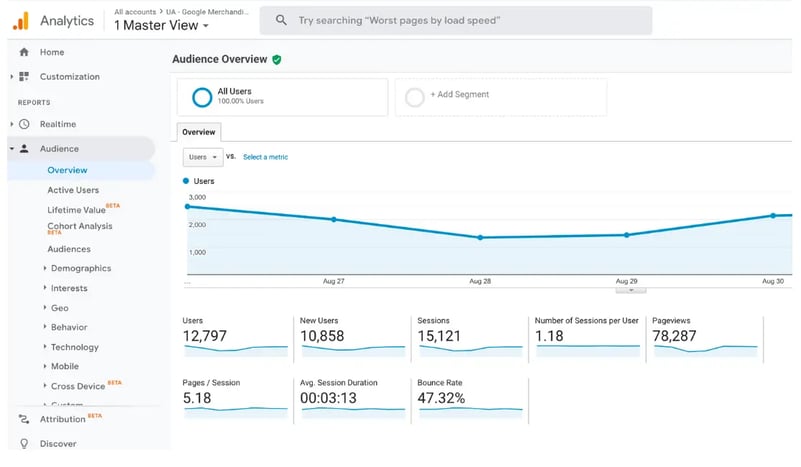 Google analytics audience overview