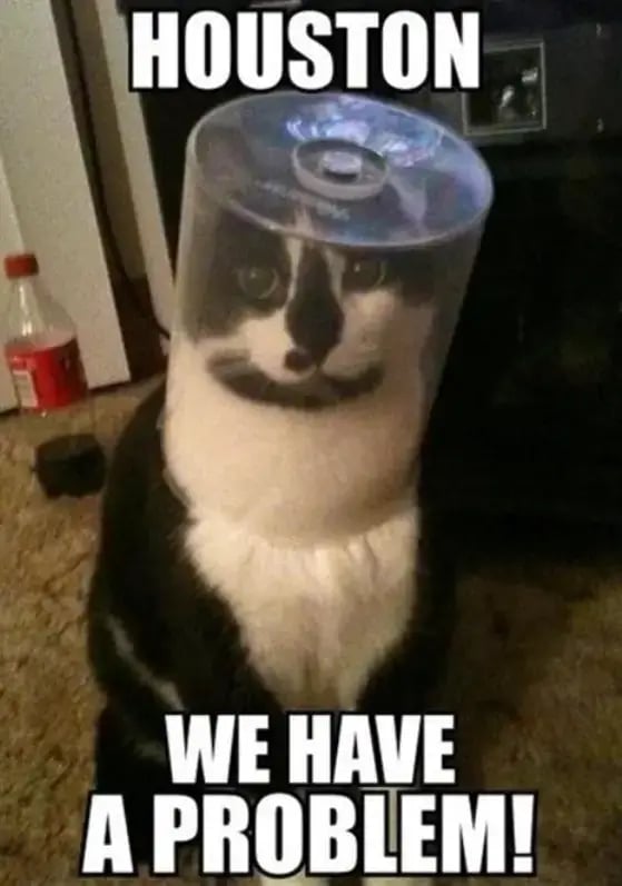 meme-cat-houston-we-have-a-problem