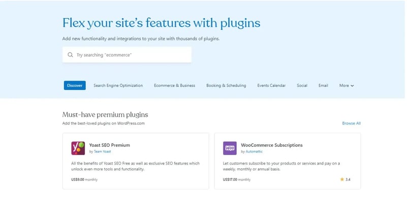 Website plugin software