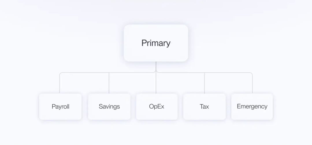 a-flowchart-diagram-illustrating-the-concept-of-multiple-bank-accounts-and-their-specific-roles