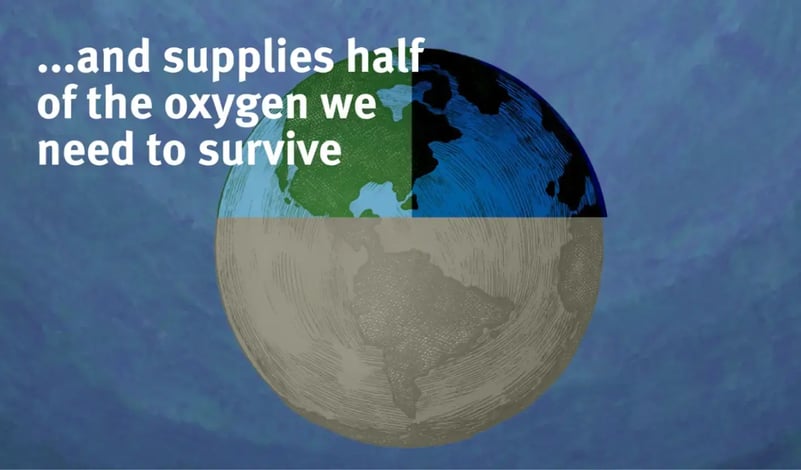 and-supplied-half-the-oxygen