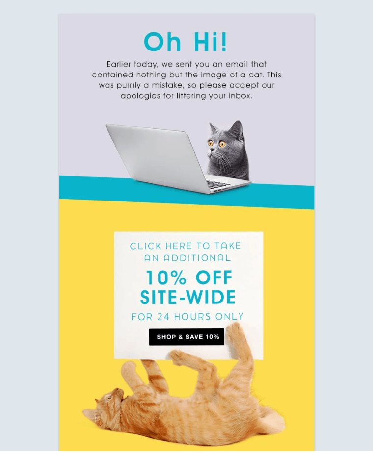 screenshot of a popup advertising 10 percent off