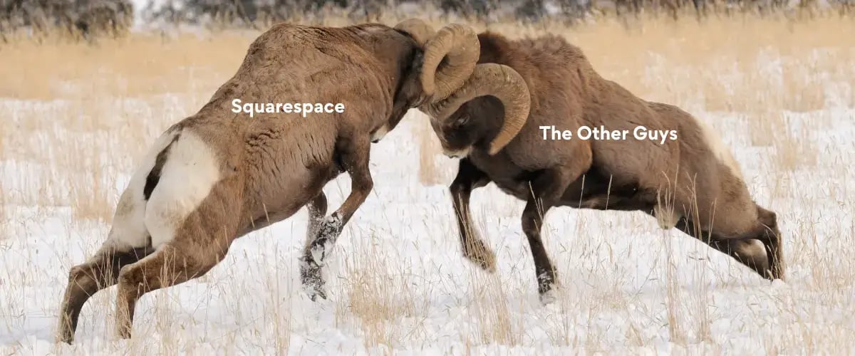 squarespace-vs-the-other-guys