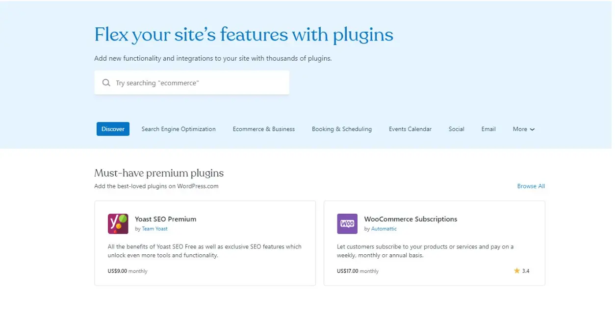 Website plugin software
