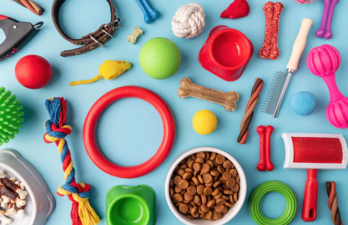 pet-accessories-still-life-concept-with-colorful-objects_